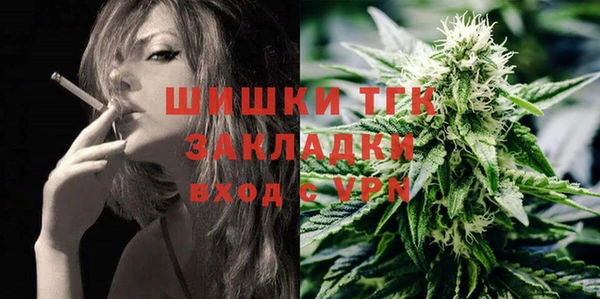 амф Верея