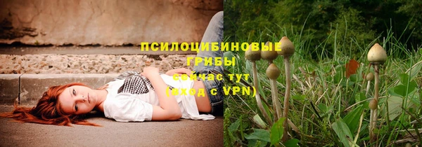 не бодяженный Верхний Тагил