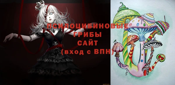 амф Верея