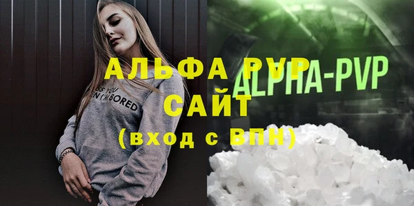 амф Верея