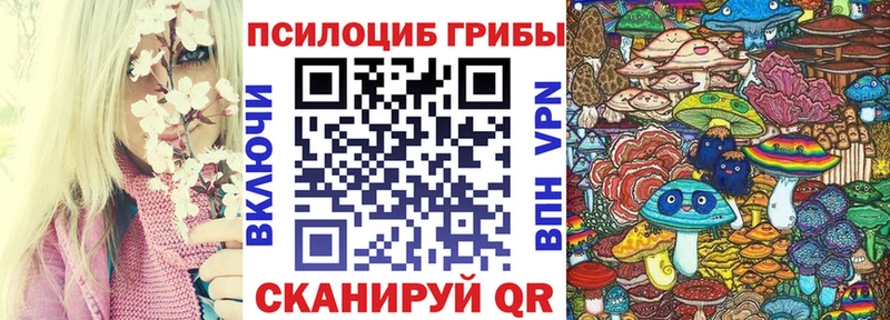 где продают наркотики Каневская Псилоцибиновые грибы мухоморы
