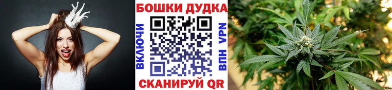 Шишки марихуана ГИДРОПОН Каневская